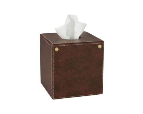 Aurora Tissue Box
